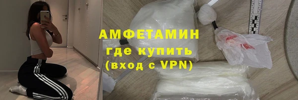 шишки Абаза