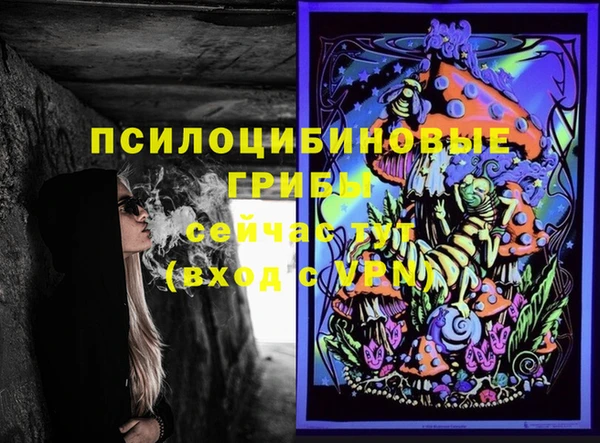 шишки Абаза