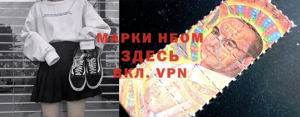 шишки Абаза