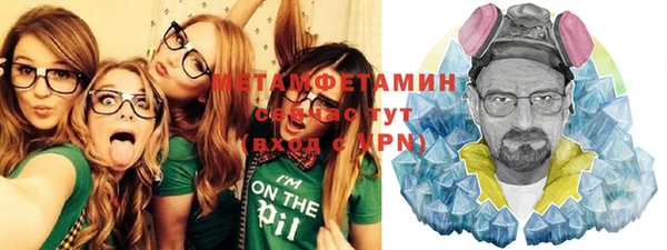 шишки Абаза