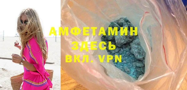 шишки Абаза