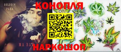 apvp Рузаевка