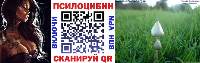 Галлюциногенные грибы мухоморы  Шали 