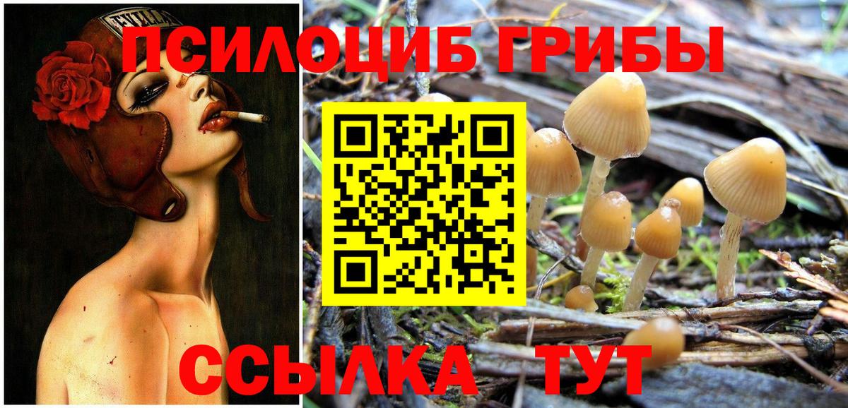 Галлюциногенные грибы Psilocybe  Псилоцибиновые грибы Cubensis  Шали  Вход с VPN 