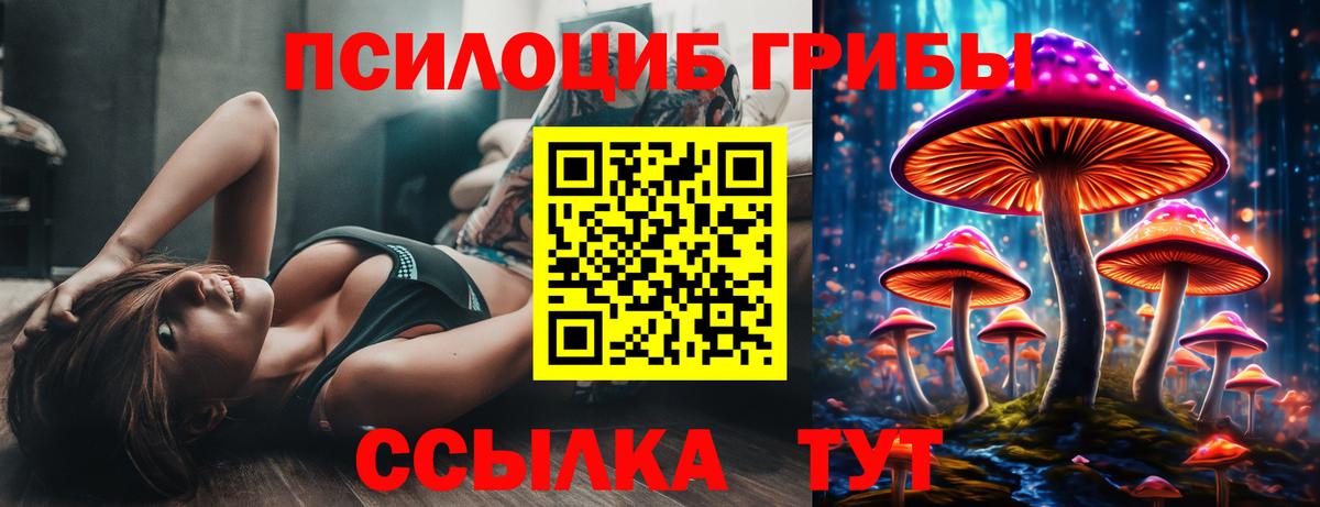 Псилоцибиновые грибы Psilocybine cubensis Шали